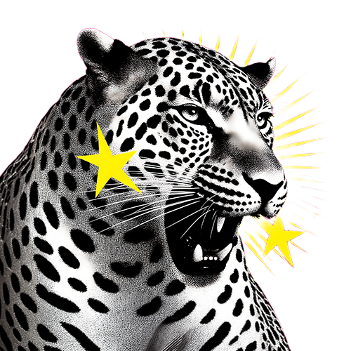 polly politics political fashion logo